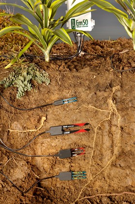 Sensors Image